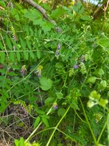 김영옥님의 작성글 사진
