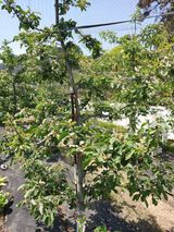 박상현님의 작성글 사진