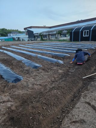 뚜벅이님의 기타작물 · 영농일지 작성글 사진