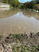 이익수님의 작성글 사진