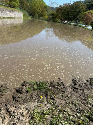 이익수님의 벼 · 영농일지 작성글 사진