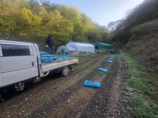 윤자용11대임후회장님의 고추 · 영농일지 작성글 사진