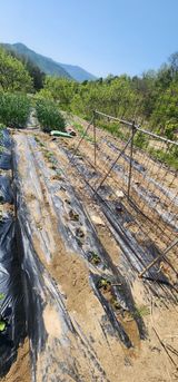 김동일님의 작성글 사진