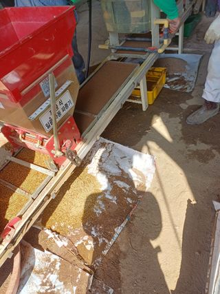 전원수님의 기타작물 · 영농일지 작성글 사진