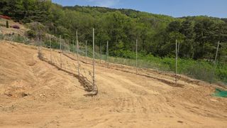 김기득 님의 기타작물 · 영농일지 작성글 사진