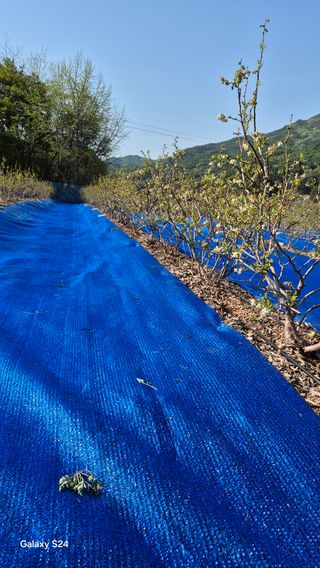 곰티농사꾼님의 기타작물 · 영농일지 작성글 사진