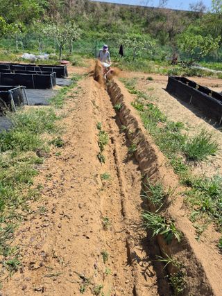 김한수님의 기타작물 · 영농일지 작성글 사진