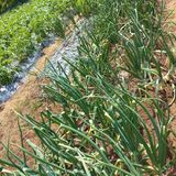 김건우님의 작성글 사진