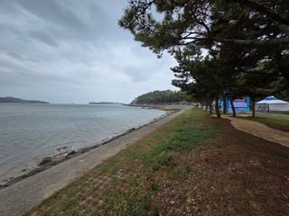 윤자용11대임후회장님의 고추 · 영농일지 작성글 사진