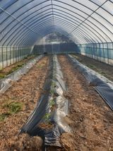 샤이니바다님의 작성글 사진