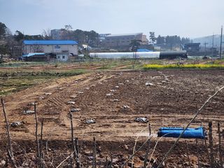 이욱주님의 두릅 · 영농일지 작성글 사진