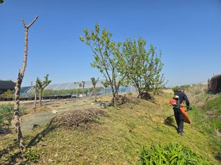 비타민님의 블루베리 · 영농일지 작성글 사진