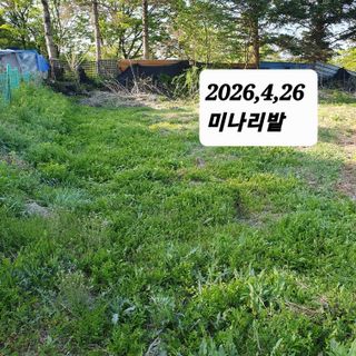 시민농장님의 기타작물 · 영농일지 작성글 사진