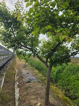 정영석님의 작성글 사진