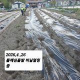 팜모닝 기타작물·영농일지 게시글 이미지