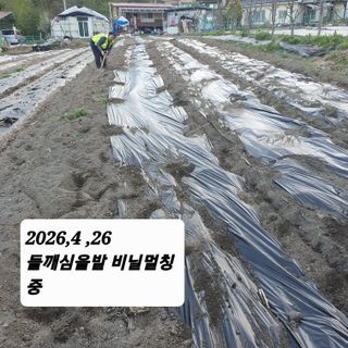 시민농장님의 기타작물 · 영농일지 작성글 사진