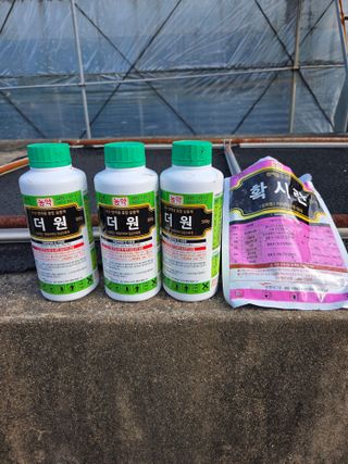 제주온님의 기타작물 · 영농일지 작성글 사진