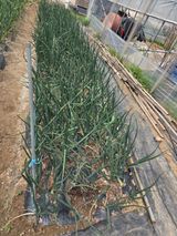 정영순님의 작성글 사진