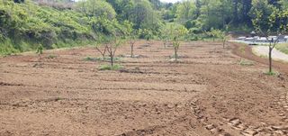 김영진님의 작성글 사진