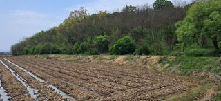 이복길님의 기타작물 · 영농일지 작성글 사진