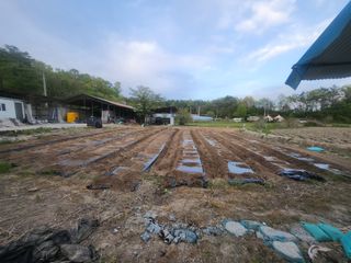 트랜스지방님의 기타작물 · 영농일지 작성글 사진