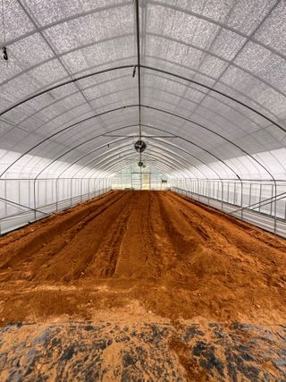 박종민님의 기타작물 · 영농일지 작성글 사진