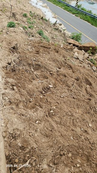 임상근님의 두릅 · 영농일지 작성글 사진