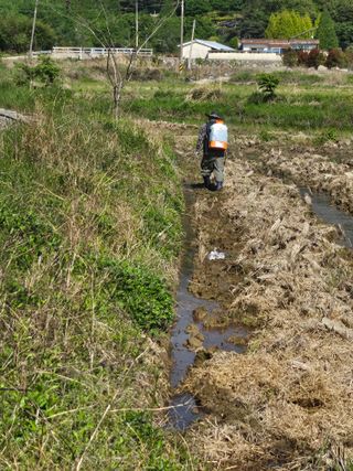 양배추21524님의 벼 · 영농일지 작성글 사진