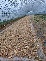 결단이님의 작성글 사진