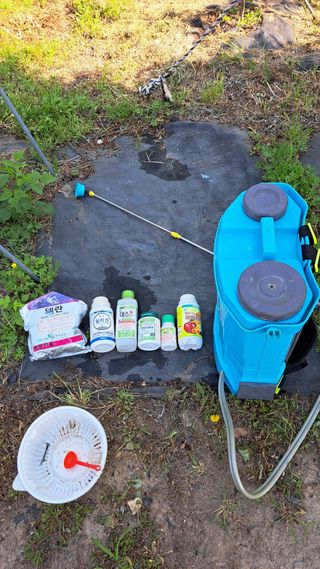 주윤발이님의 복숭아 · 영농일지 작성글 사진