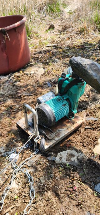 초보농부님의 기타작물 · 영농일지 작성글 사진