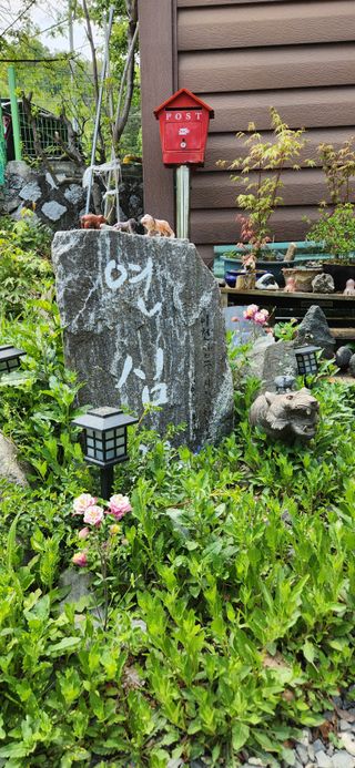 김순섭님의 기타작물 · 영농일지 작성글 사진