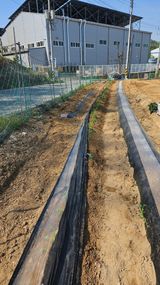 이순정님의 작성글 사진