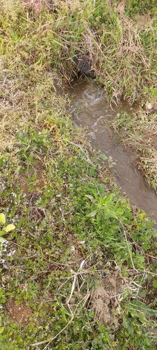 즐겁게 일하는조시형님의 기타작물 · 영농일지 작성글 사진