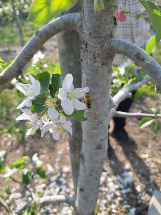 님의 기타작물 · 영농일지 작성글 사진