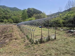 황매산신령님의 기타작물 · 영농일지 작성글 사진