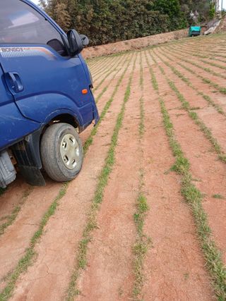 최유순님의 작성글 사진