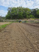 두릅나무9056님의 작성글 사진