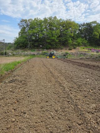 두릅나무9056님의 콩 · 영농일지 작성글 사진