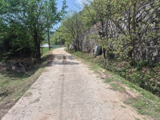 황매산신령님의 기타작물 · 영농일지 작성글 사진