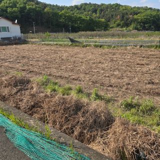 동동예행복농장님의 기타작물 · 영농일지 작성글 사진