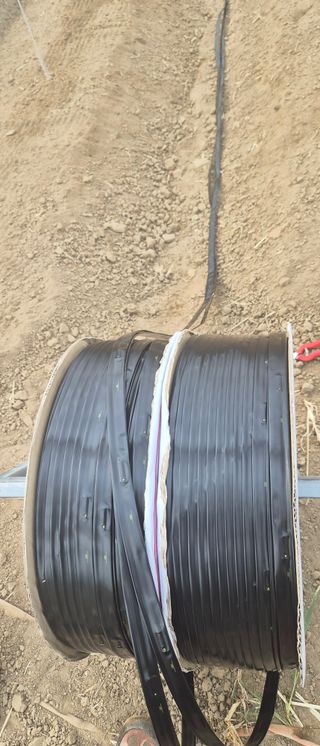 김명숙님의 오이 · 영농일지 작성글 사진