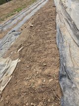 정영순님의 작성글 사진