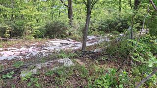 수기님의 기타작물 · 영농일지 작성글 사진