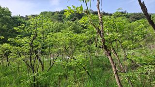 수기님의 기타작물 · 영농일지 작성글 사진