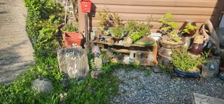 김순섭님의 기타작물 · 영농일지 작성글 사진