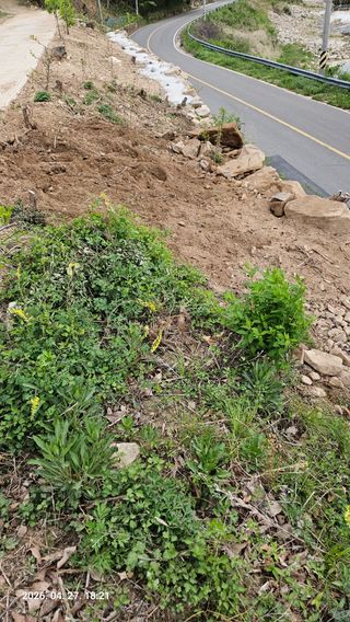 임상근님의 두릅 · 영농일지 작성글 사진