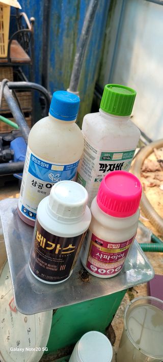 서대산향수님의 포도 · 영농일지 작성글 사진