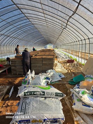 아하론님의 기타작물 · 영농일지 작성글 사진