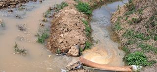 이복길님의 기타작물 · 영농일지 작성글 사진